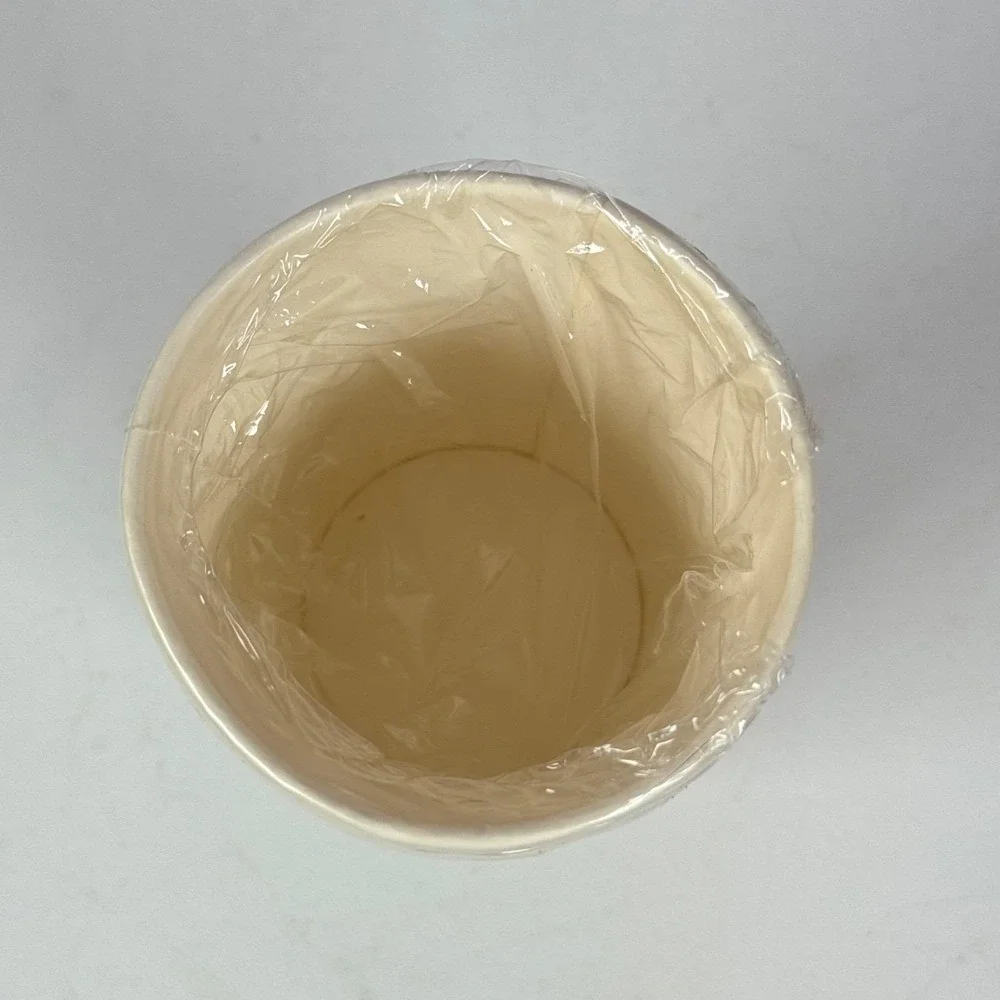 Vintage Land Before Time Littlefoot Birthday Party Hot Cold Cups Supplies 8 ct